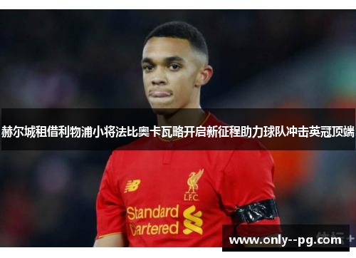 赫尔城租借利物浦小将法比奥卡瓦略开启新征程助力球队冲击英冠顶端 赫尔城租借利物浦小将法比奥卡瓦略开启新征程助力球队冲击英冠顶端